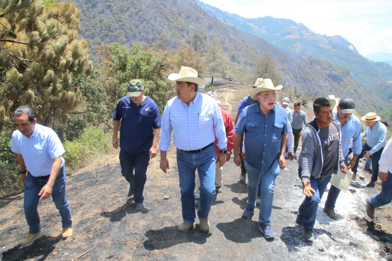 Incendio en Zacatlán está liquidado en 60%