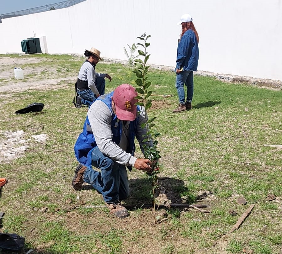 Con la entrega de 5 mil árboles, Agua de Puebla realiza su Programa de Reforestación: «Adopta Vida»