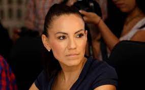 Monica Silva presentará iniciativa para la Declaratoria de Ausencia