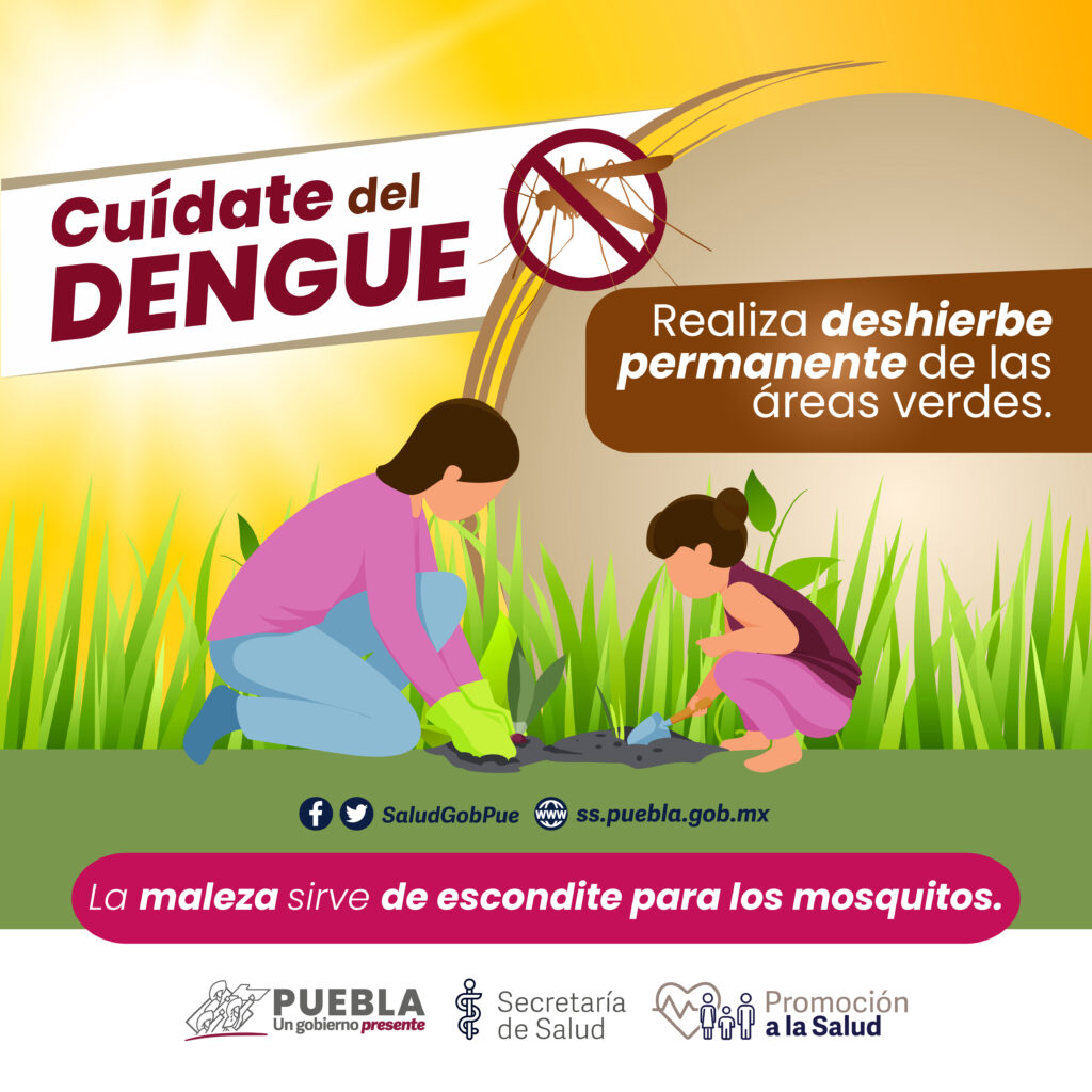 Se tiene un acumulado de mil 296 personas con esta enfermedad.