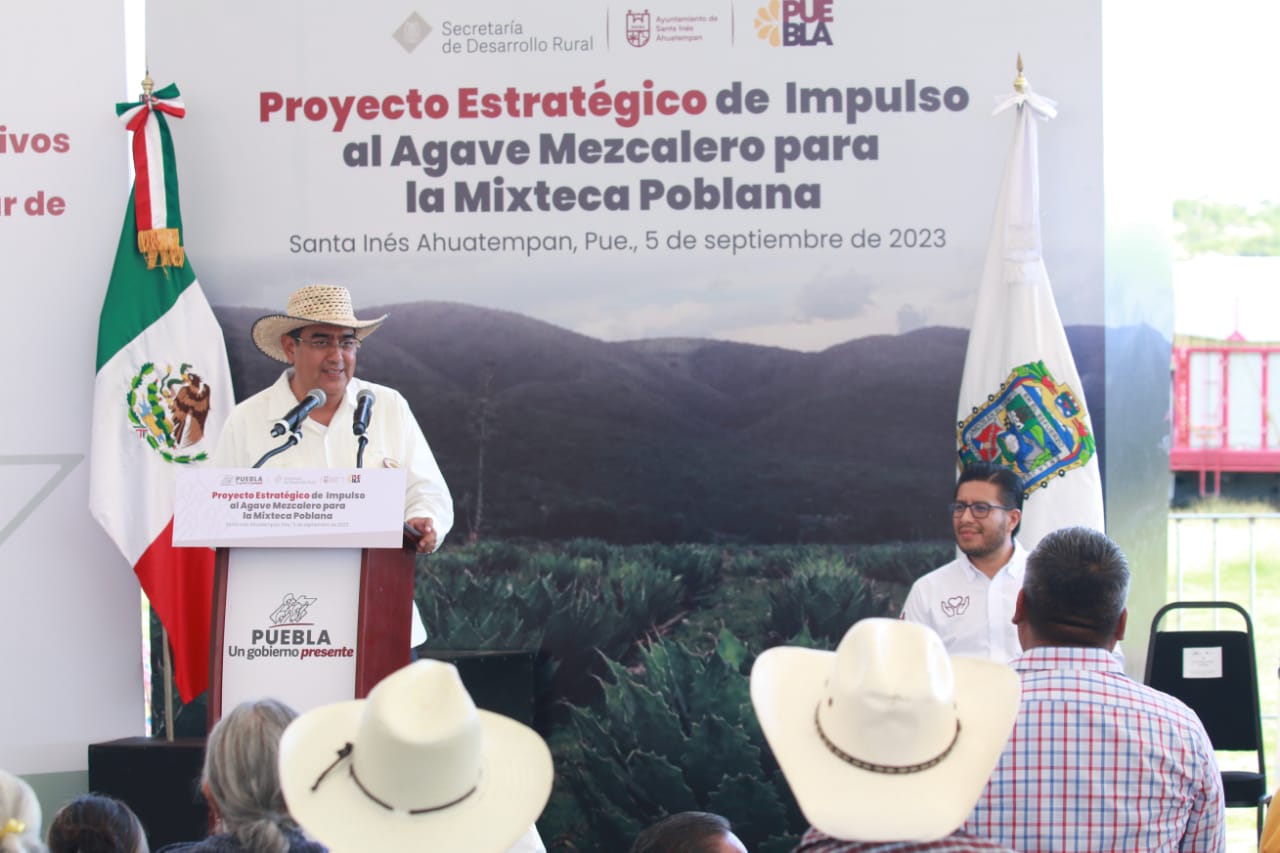 Gobierno de Puebla busca detonar el desarrollo de la mixteca impulsando el Agave Mezcalero