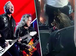 Una perra de Los Ángeles demostró ser el "Master of Puppies” después de colarse en uno de los conciertos de la legendaria banda de metal Metallica.