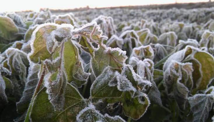 Prevalecerán bajas temperaturas en Puebla: SEGOB