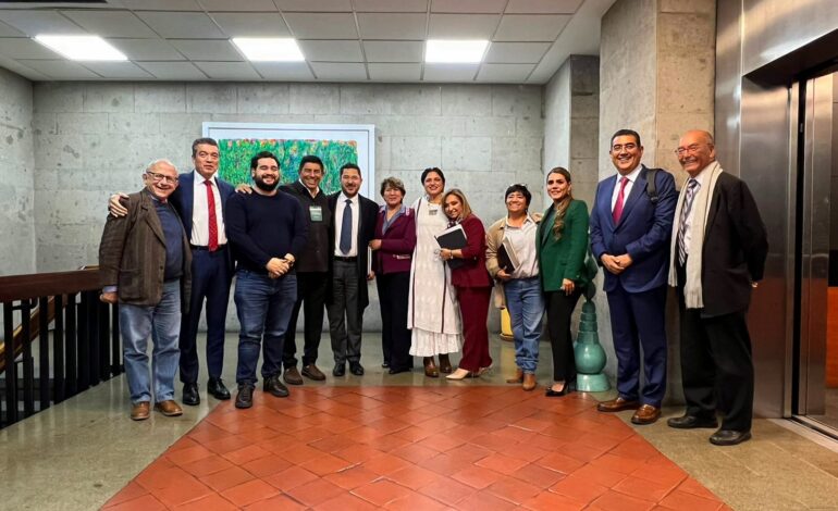 Sergio Salomón participa en reunión de trabajo  para dar seguimiento a la centralización de IMSS-Bienestar