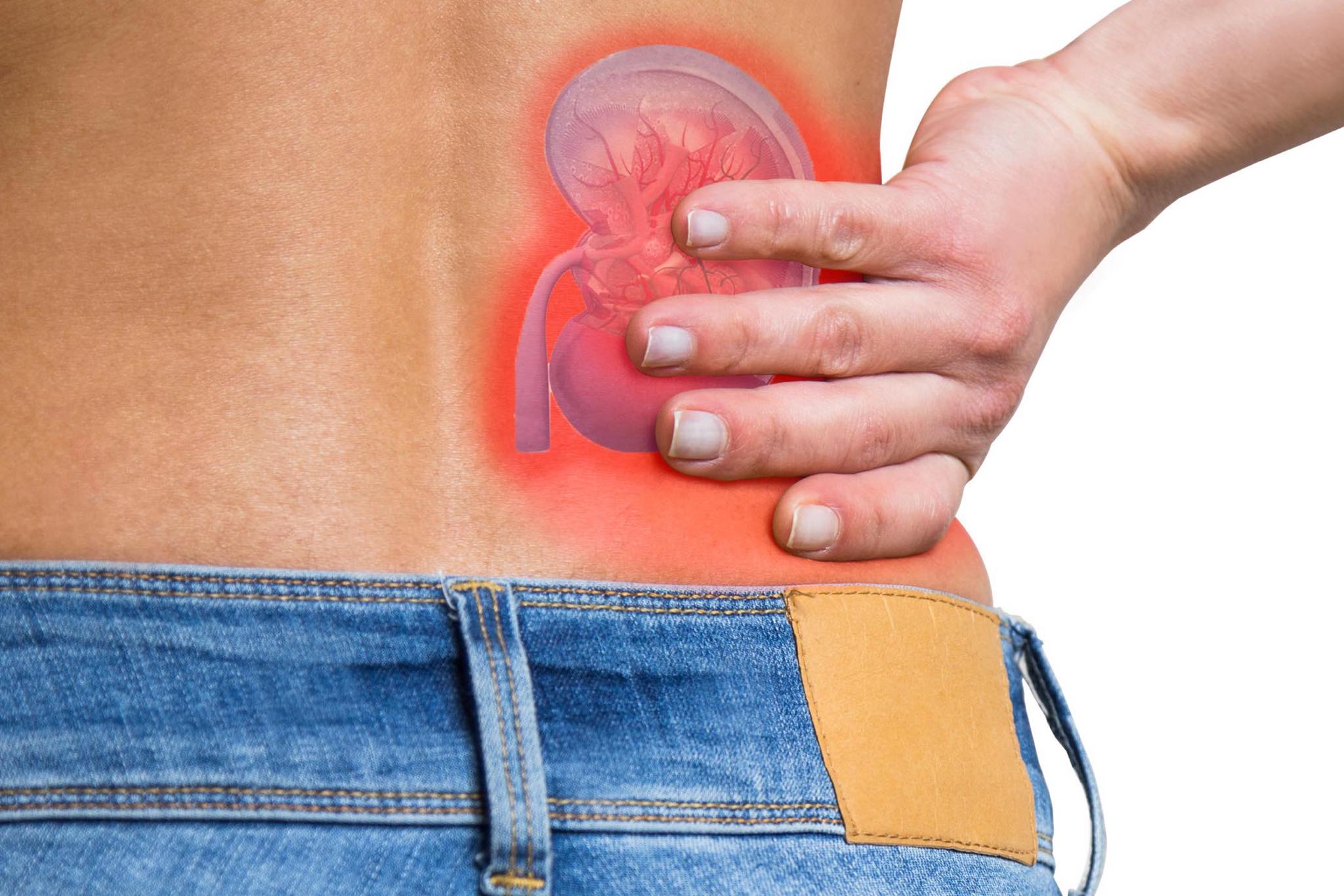 Día Mundial del Riñón: 6 claves para prevenir la enfermedad renal crónica