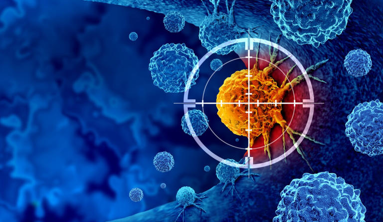 Hábitos que debes evitar para disminuir la probabilidad de padecer cáncer