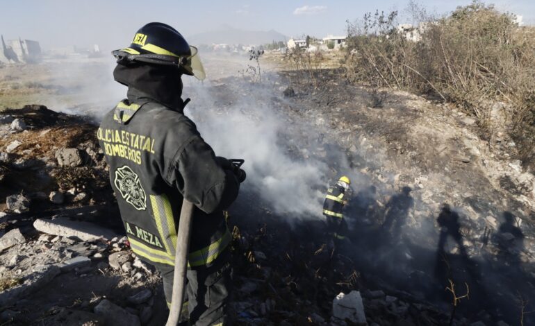 Brigadas «Coyote» han controlado 80% del incendio forestal de Tehuatzingo