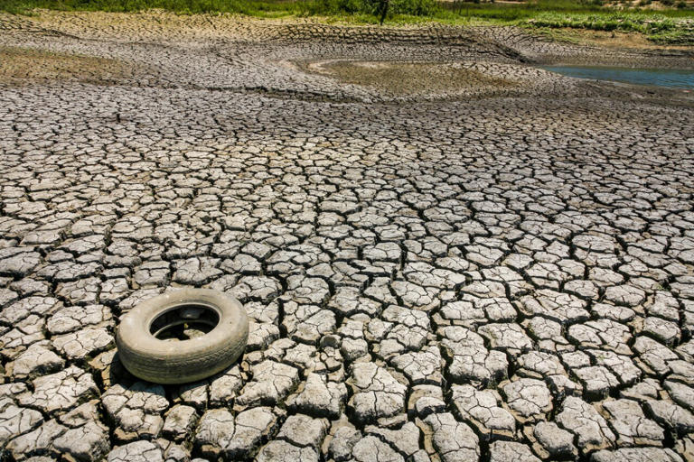 La niña: ¿por qué habrá sequía y lluvia al mismo tiempo? La UNAM explica