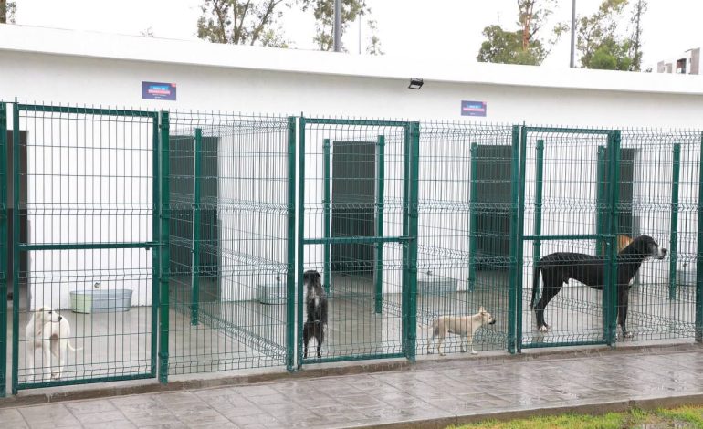 Ayuntamiento abre Estancia para el Bienestar Animal instalada en el Cerro de Amalucan