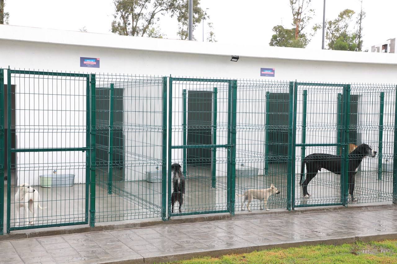 Ayuntamiento abre Estancia para el Bienestar Animal instalada en el Cerro de Amalucan