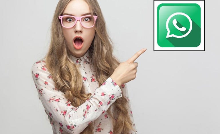 WhatsApp: Sabes para qué sirve el “Modo Compañero”, te decimos cómo activarlo