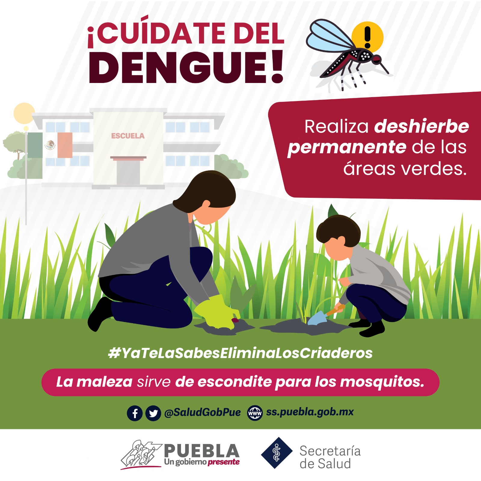 En Puebla, seis personas hospitalizadas por dengue