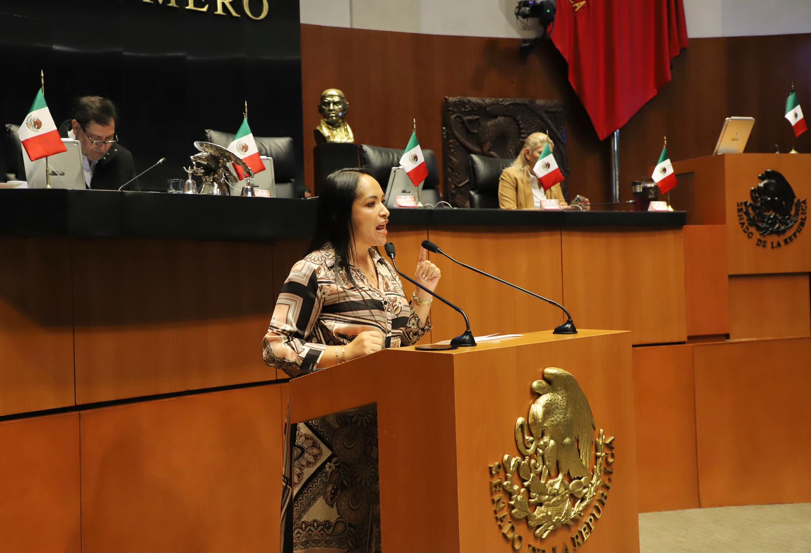 Senadora Liz Sánchez propone hasta 7 años de prisión para quienes comentan maltrato animal