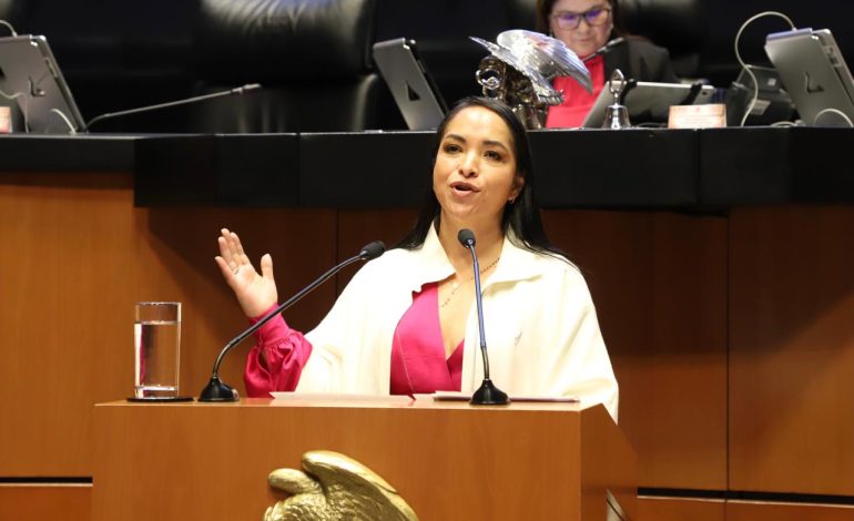 Mi voto fue a favor de la recuperación y desarrollo de los trenes de México: Liz Sánchez