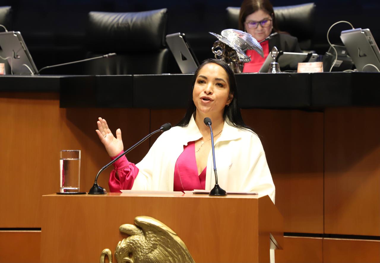Mi voto fue a favor de la recuperación y desarrollo de los trenes de México: Liz Sánchez