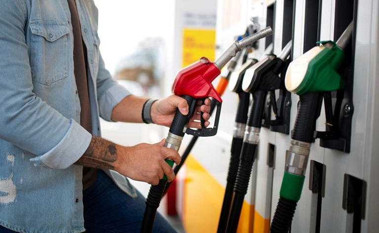 Profeco afirma que combustibles no han aumentado