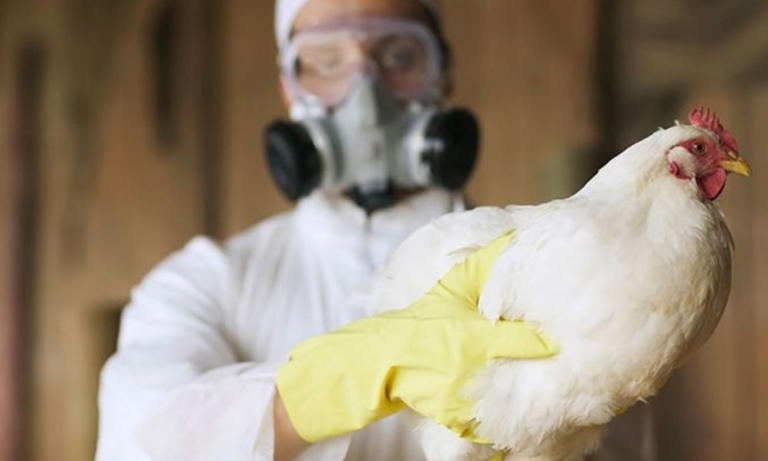 El Gobierno de China advierte sobre una nueva epidemia que puede paralizar al mundo