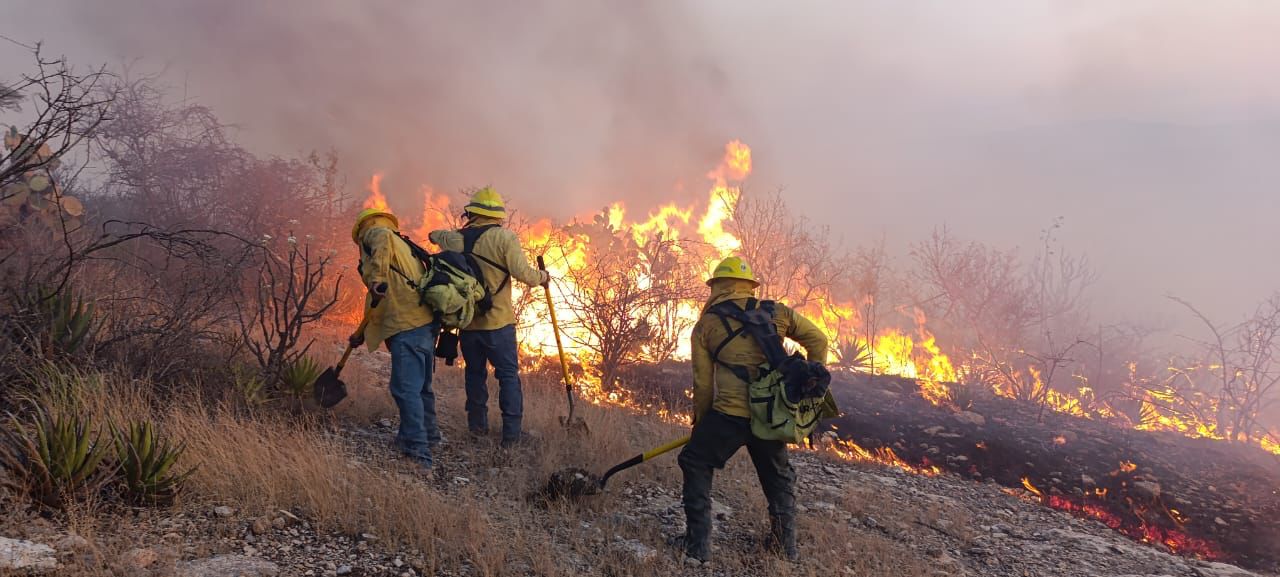 Controlado incendio forestal en Tehuacán; continúan labores de mitigación