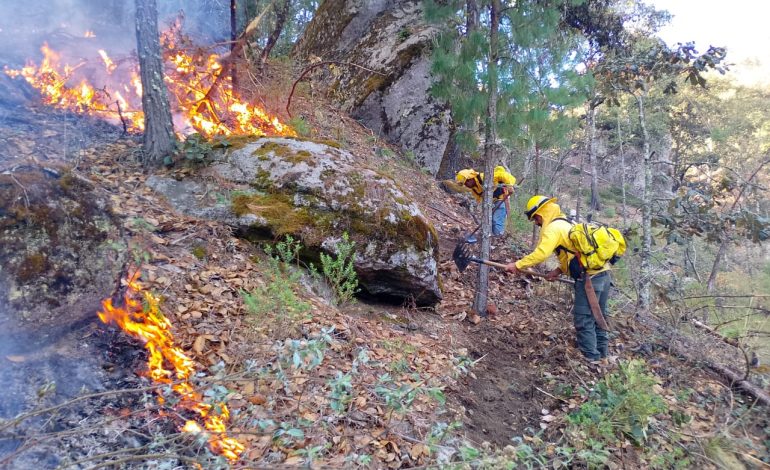 Puebla reduce impacto de incendios forestales: atiende 301 siniestros