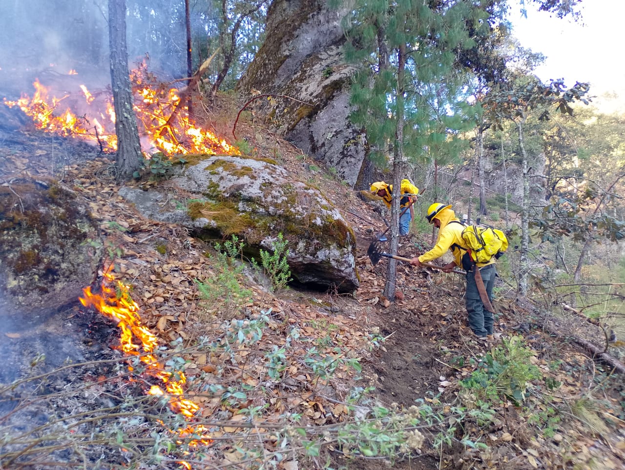 Puebla reduce impacto de incendios forestales: atiende 301 siniestros