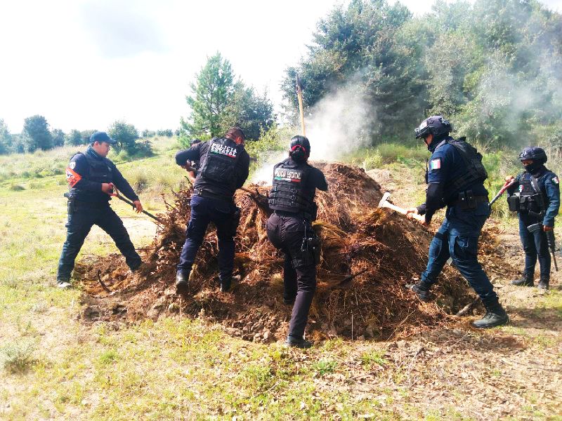 Policía Forestal desmantela 11 hornos clandestinos de tala ilegal en Puebla