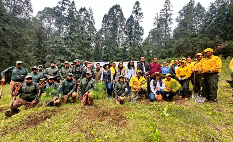 Reforestan el origen del Atoyac con 94 mil plantas en Puebla
