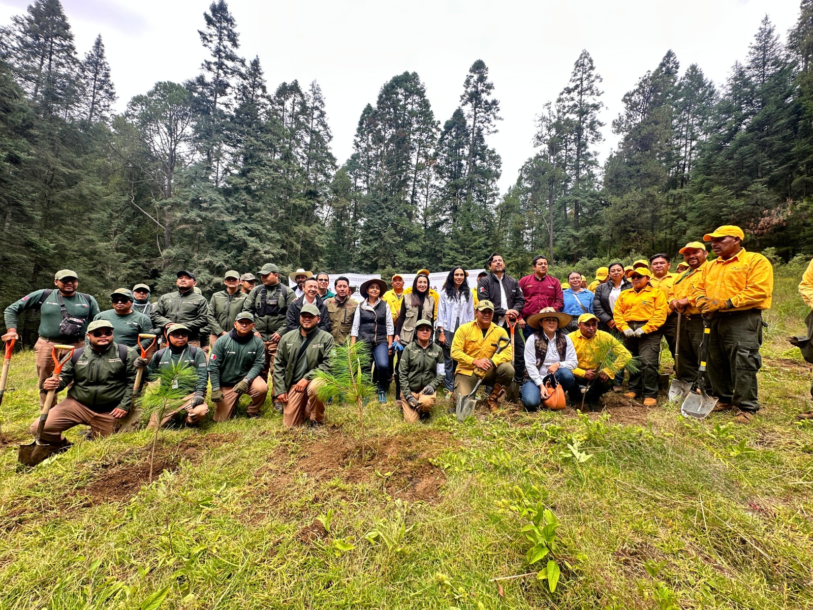 Reforestan el origen del Atoyac con 94 mil plantas en Puebla