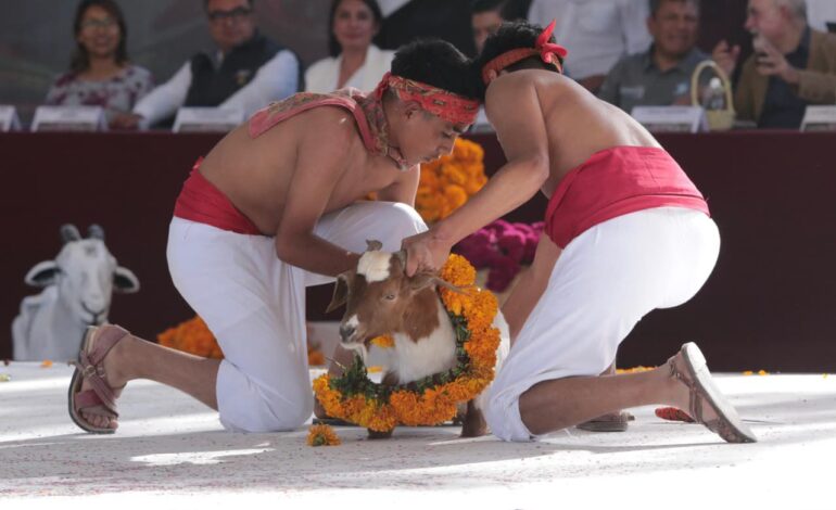 Tehuacán celebra sus raíces con el inicio de la Temporada del Mole de Caderas