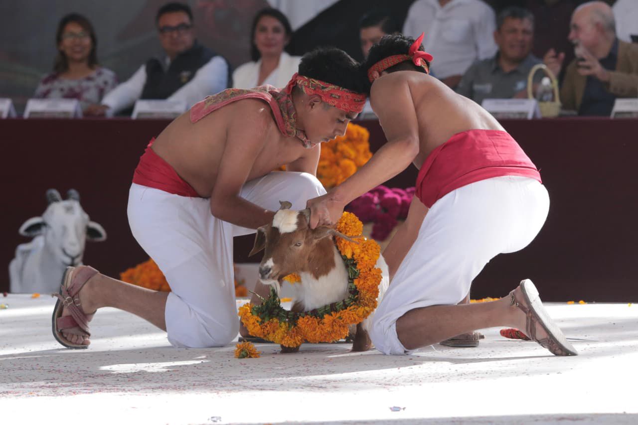 Tehuacán celebra sus raíces con el inicio de la Temporada del Mole de Caderas