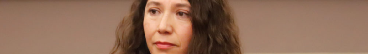 Columna Bitácora / Teresa Castro Corro no actuó sola