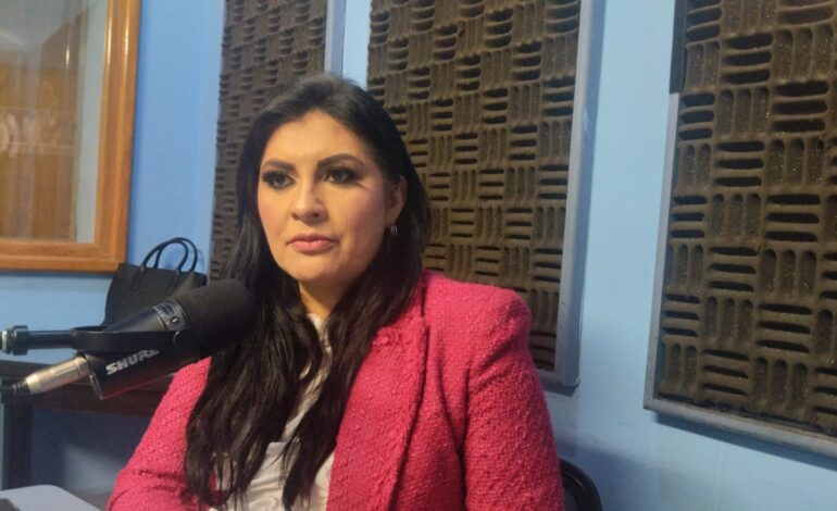Delfina Pozos: “Puebla vive una crisis de inseguridad que debe atenderse con acciones permanentes”