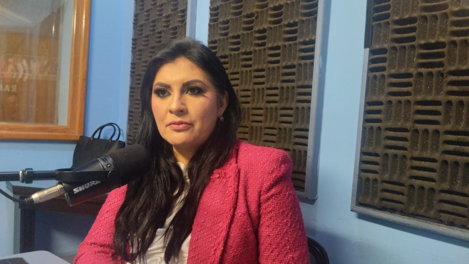 Delfina Pozos: “Puebla vive una crisis de inseguridad que debe atenderse con acciones permanentes”