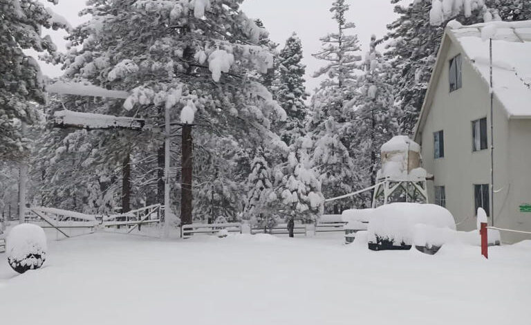 Tormenta invernal en Estados Unidos deja dos muertos por hipotermia y más de 700 mil hogares sin luz