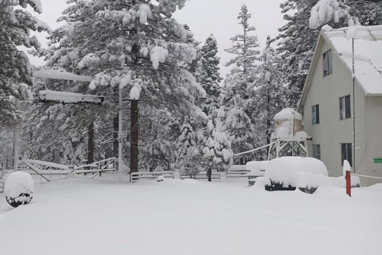 Tormenta invernal en Estados Unidos deja dos muertos por hipotermia y más de 700 mil hogares sin luz