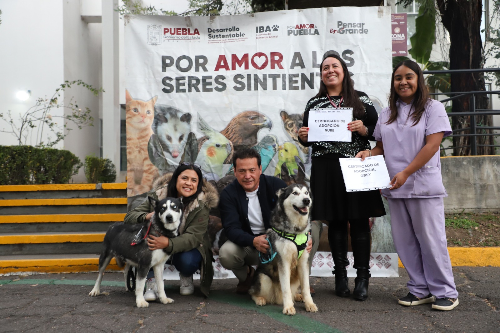 “Adopta, no compres”: Puebla fortalece la cultura de protección animal