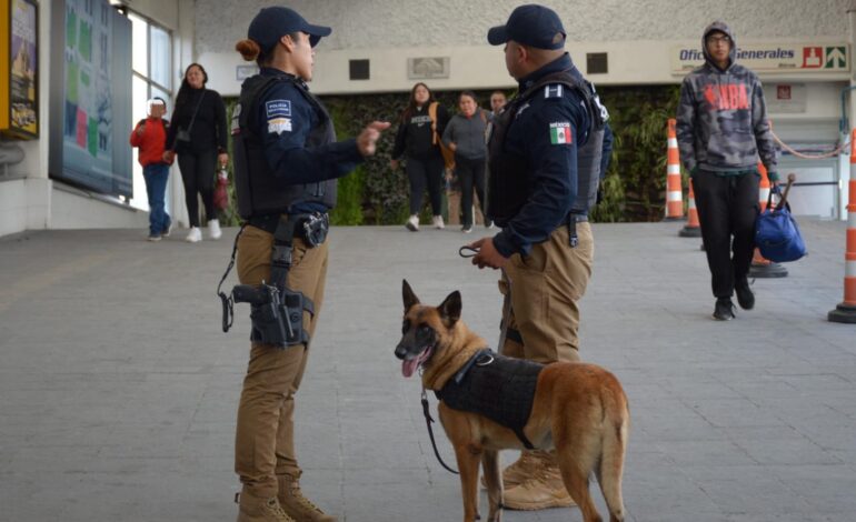 Unidad Canina de la SSC refuerza la seguridad en Puebla con decomisos y operativos estratégicos