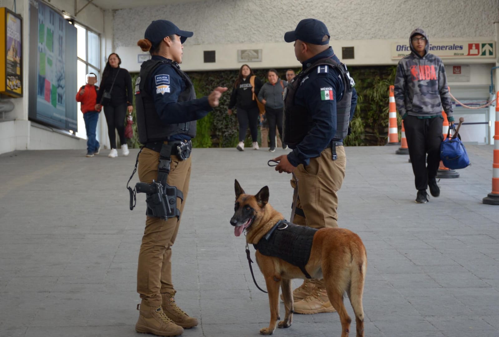 Unidad Canina de la SSC refuerza la seguridad en Puebla con decomisos y operativos estratégicos
