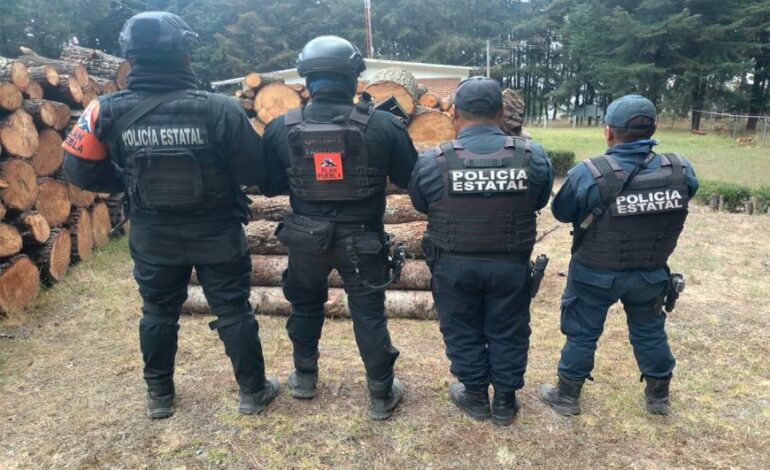 Golpe a la tala ilegal en La Malinche: aseguran madera y vehículos en operativo Puebla–Tlaxcala