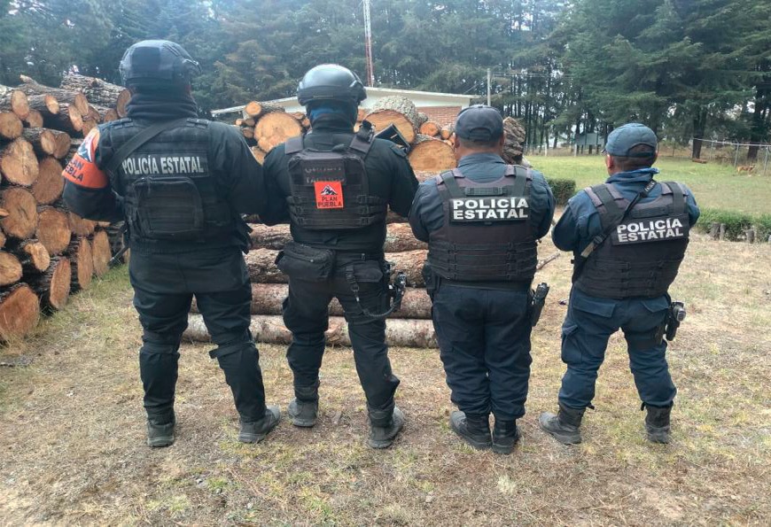 Golpe a la tala ilegal en La Malinche: aseguran madera y vehículos en operativo Puebla–Tlaxcala
