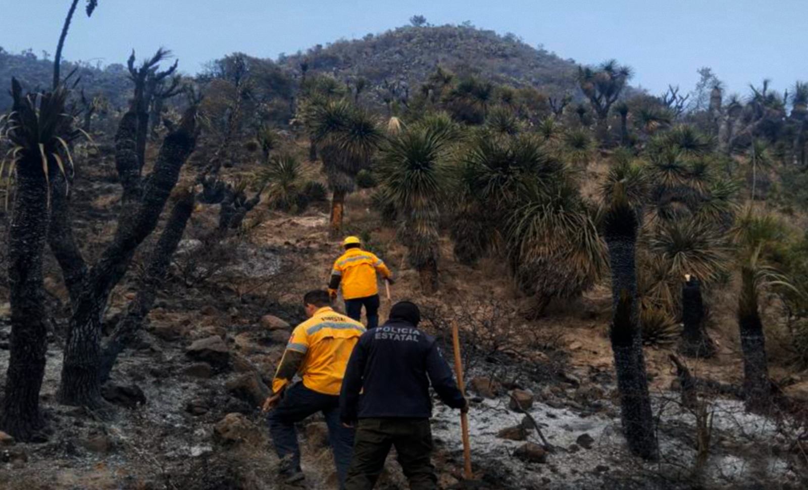 Autoridades controlan incendios y desmantelan hornos ilegales en La Malinche