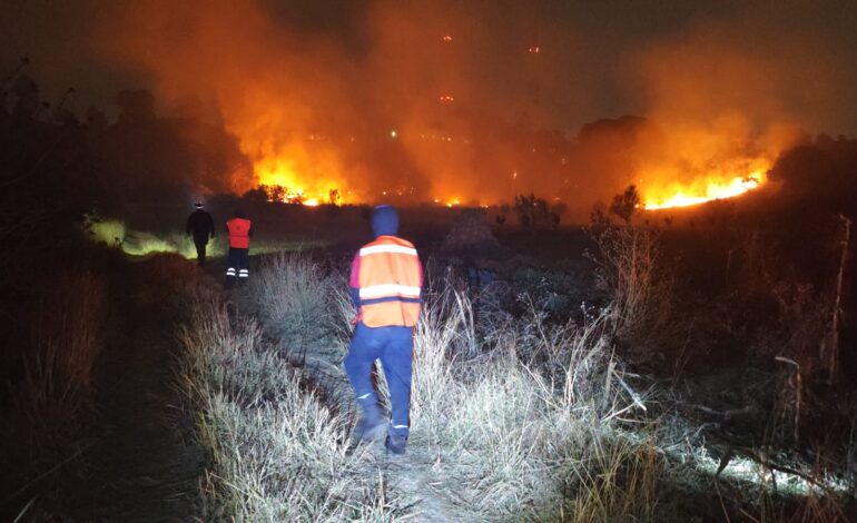 Controlan incendios en el Cerro Zapotecas tras rápida movilización de brigadas