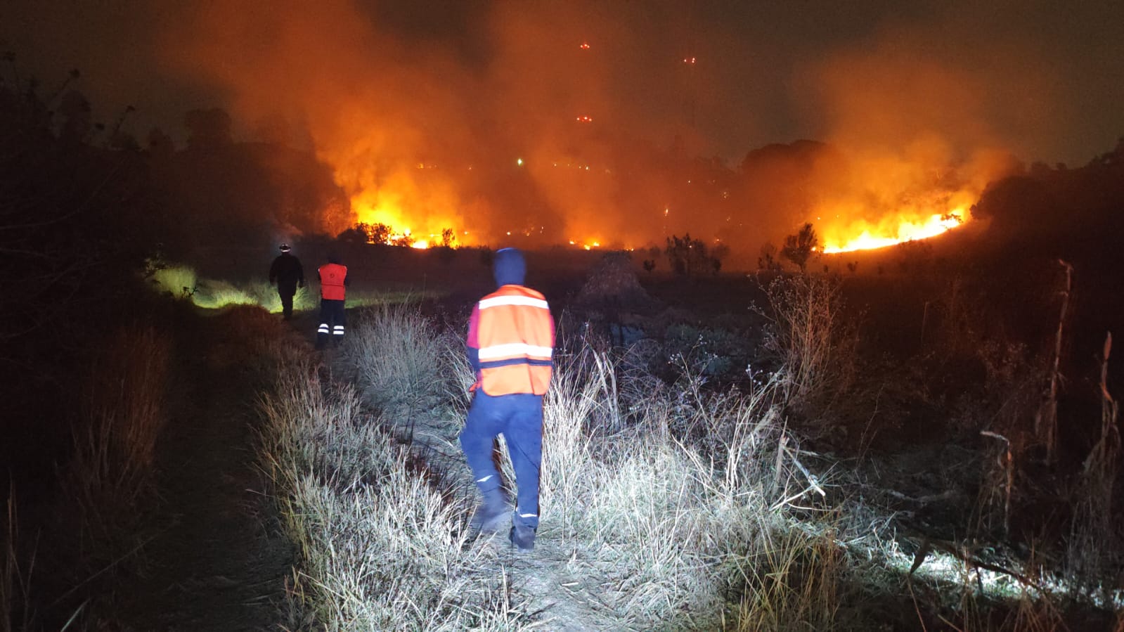 Controlan incendios en el Cerro Zapotecas tras rápida movilización de brigadas