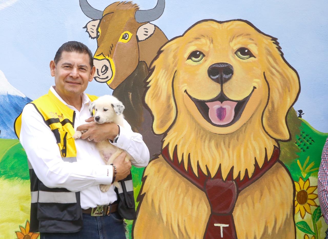 Centro de Bienestar Animal con capacidad para 250 rescates