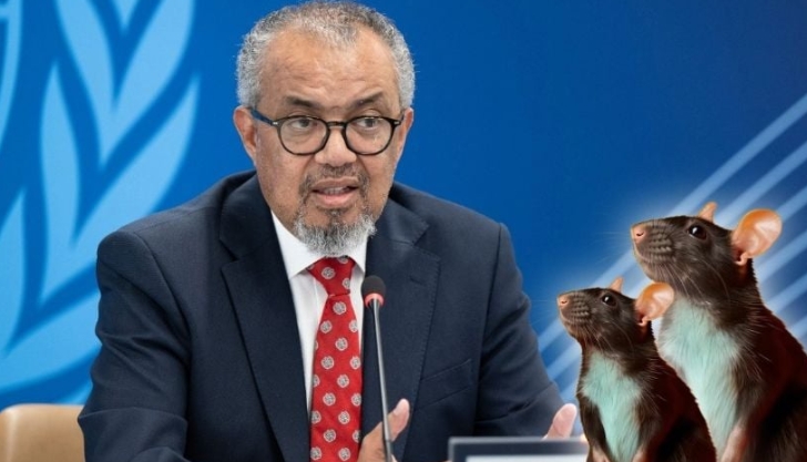 OMS pide que se preparen para más casos de hantavirus