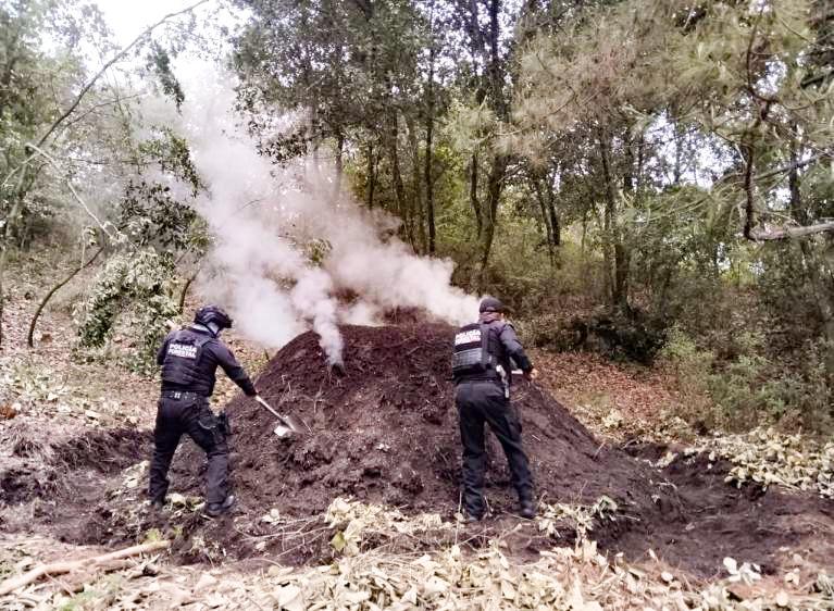 Desmantelan 11 hornos clandestinos para procesar madera ilegal en Puebla