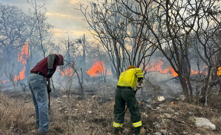 Logran 75% de control en incendio en la Mixteca