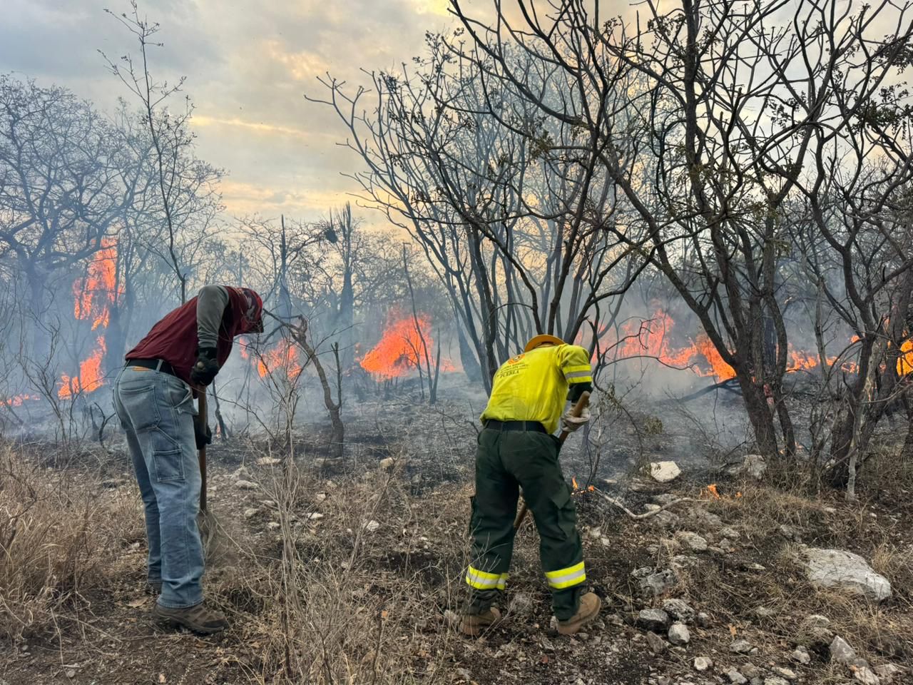 Logran 75% de control en incendio en la Mixteca
