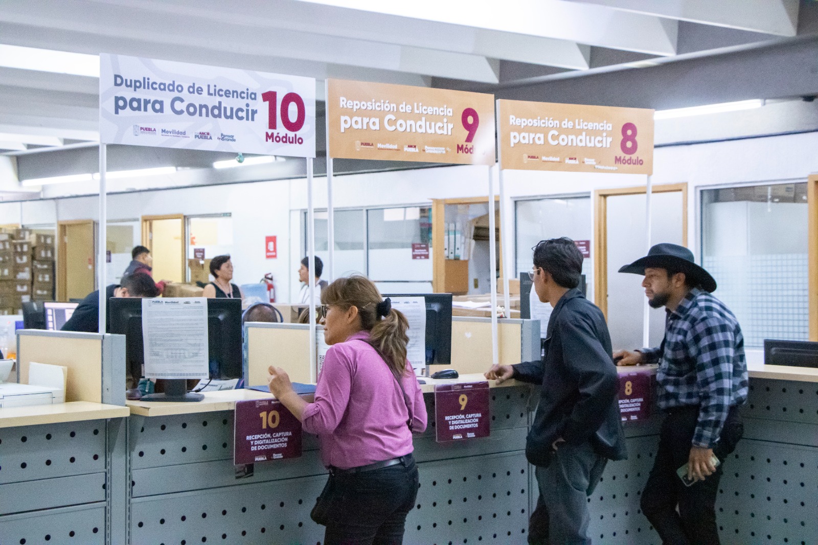SMT publica guía para tramitar licencias de conducir