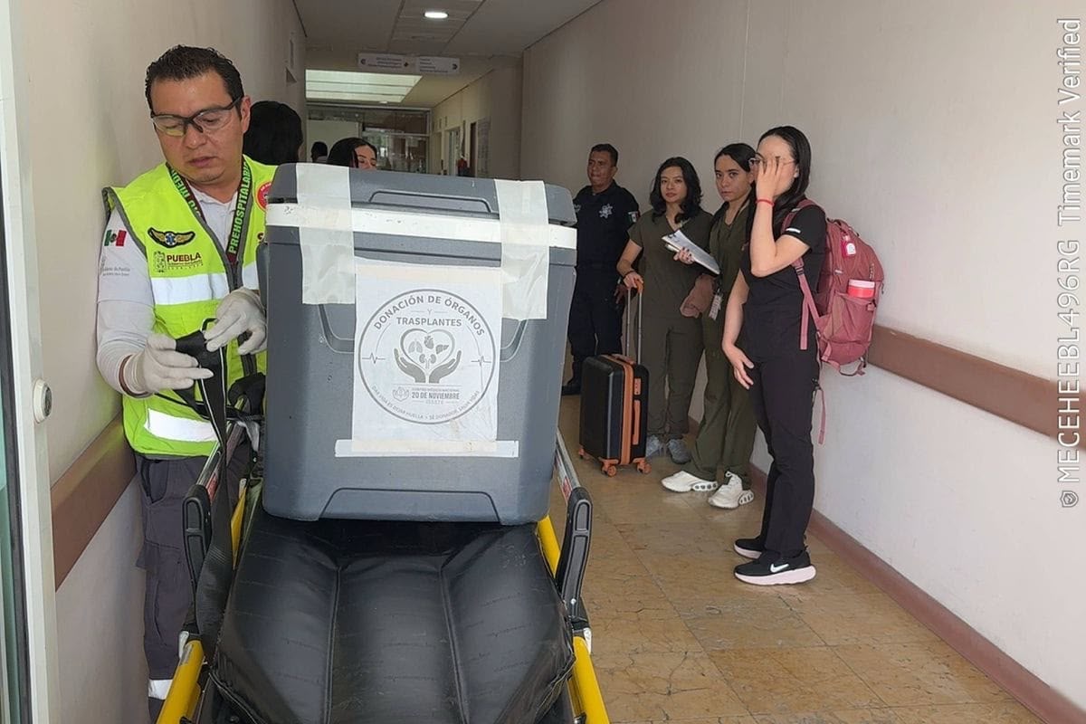 Trasladan hígado de Puebla a CDMX para salvar una vida