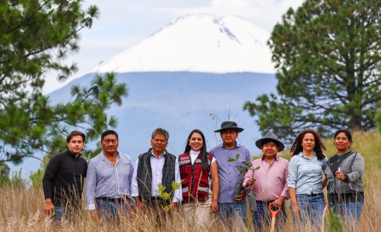 Tonantzin Fernández fortalece reforestación y protección del Cerro Zapotecas